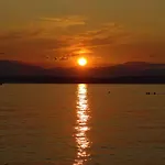 3 * Драмаль